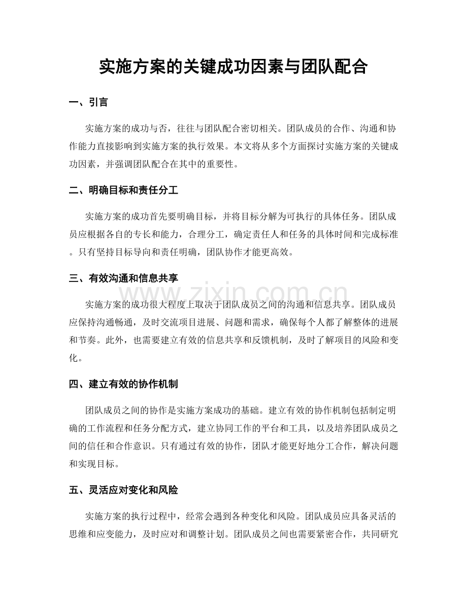 实施方案的关键成功因素与团队配合.docx_第1页