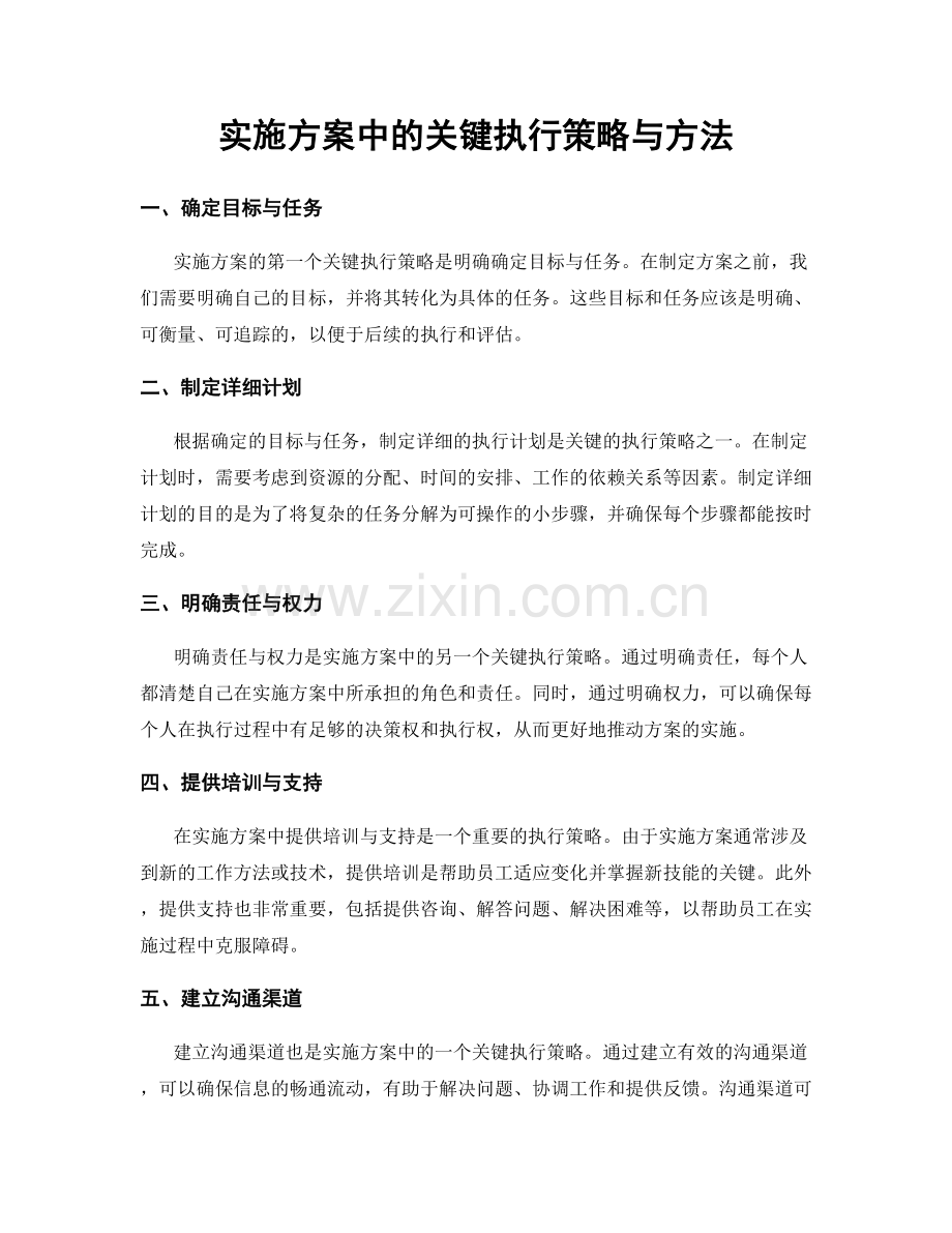 实施方案中的关键执行策略与方法.docx_第1页