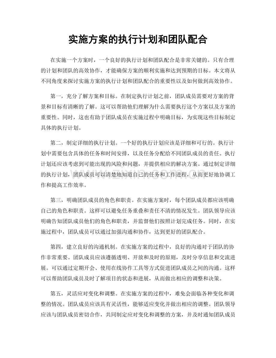 实施方案的执行计划和团队配合.docx_第1页