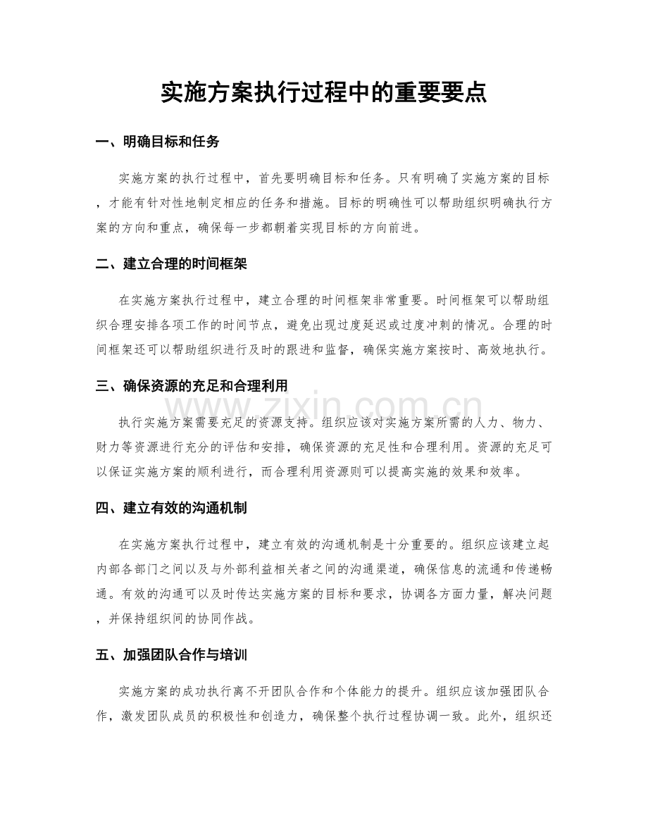 实施方案执行过程中的重要要点.docx_第1页