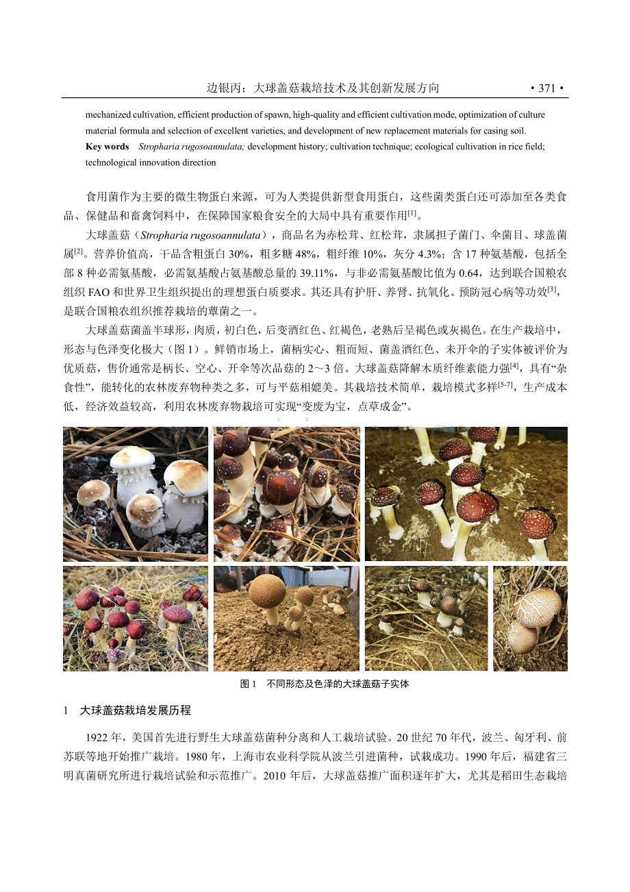 大球盖菇栽培技术及其创新发展方向.pdf_第2页