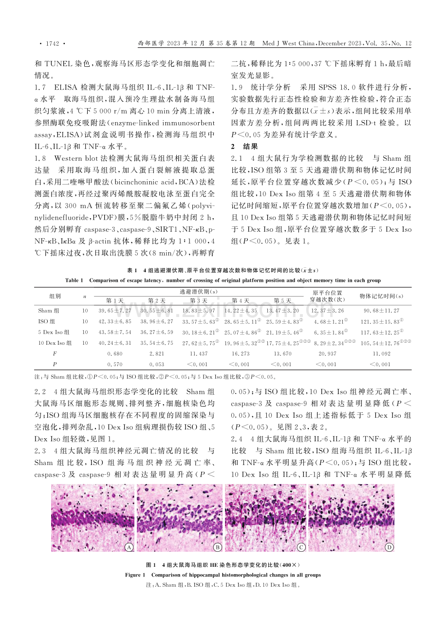 地塞米松对异氟醚麻醉手术大鼠SIRT1_NF-κB信号通路的影响.pdf_第3页