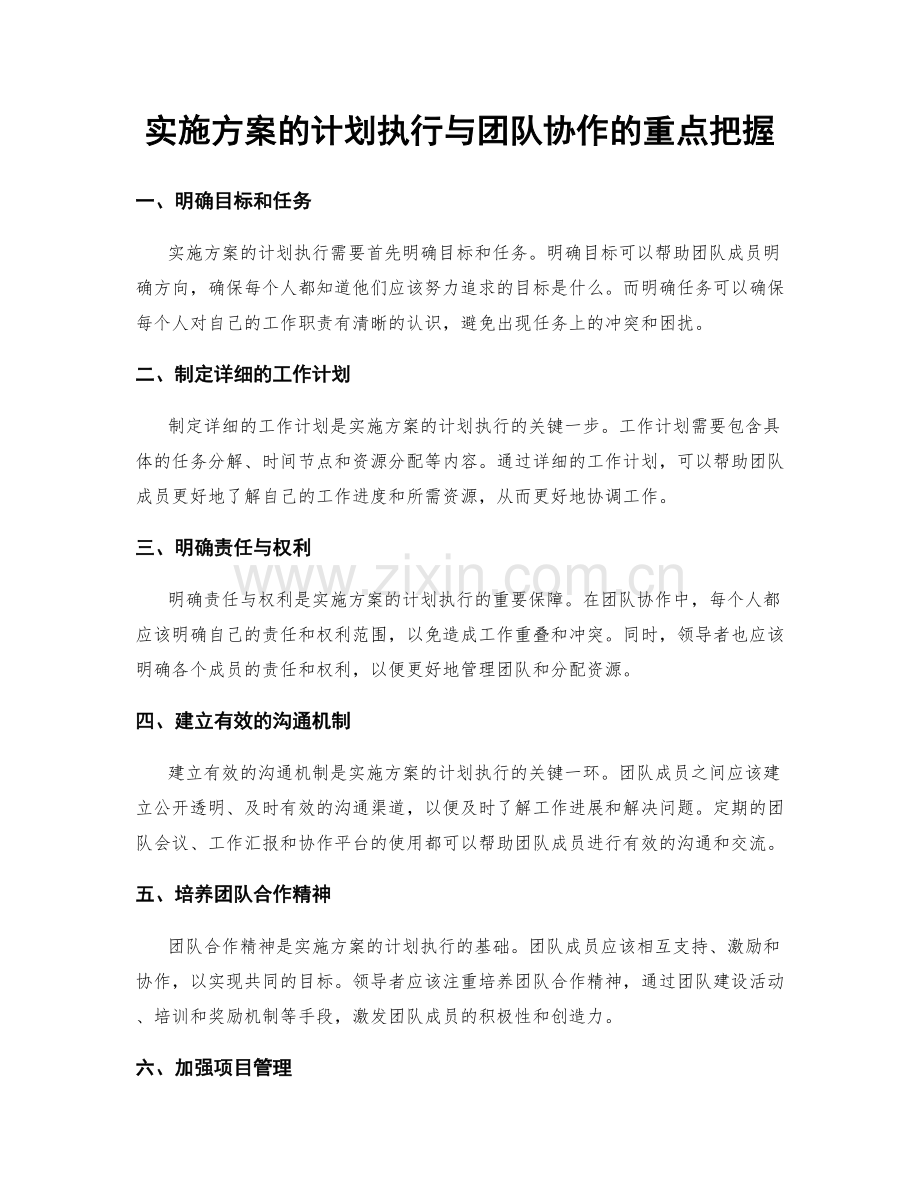 实施方案的计划执行与团队协作的重点把握.docx_第1页