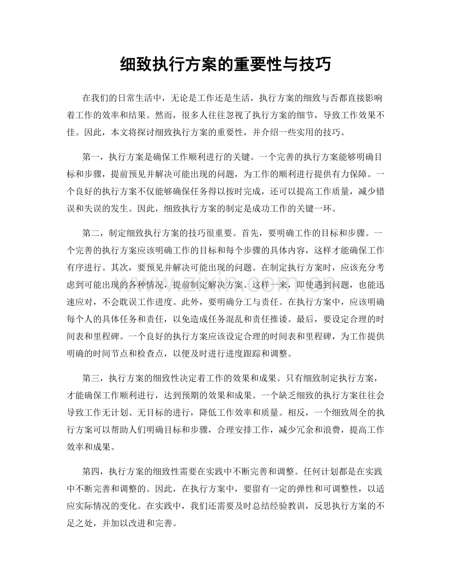 细致执行方案的重要性与技巧.docx_第1页