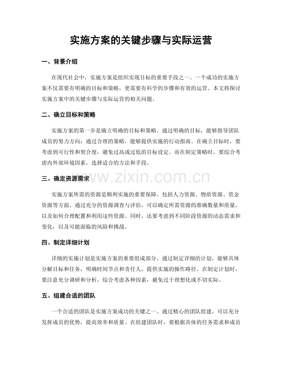 实施方案的关键步骤与实际运营.docx_第1页