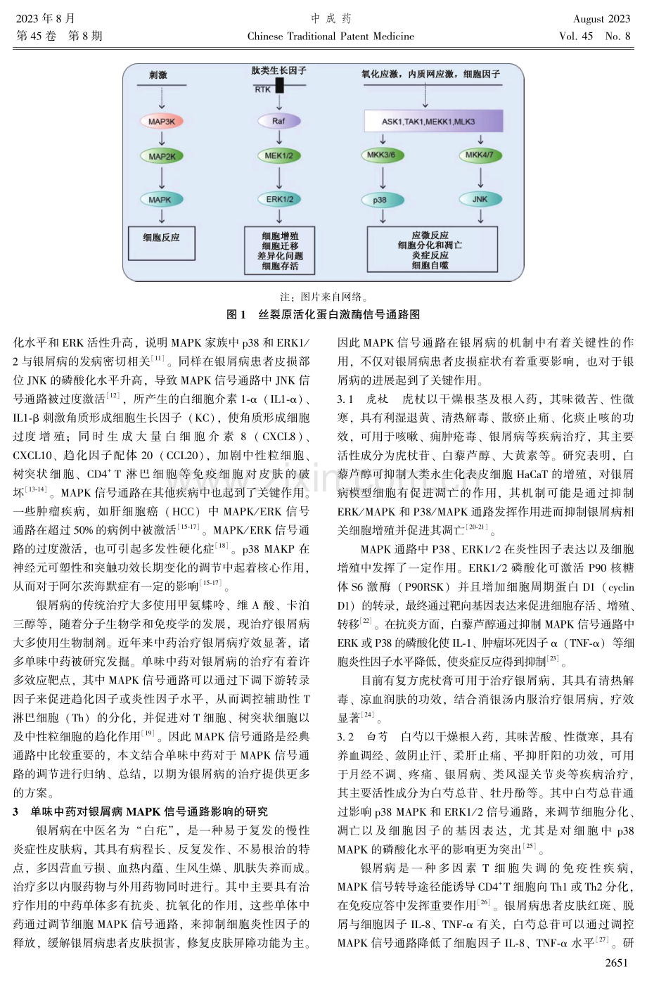 单味中药调控MAPK信号通路在银屑病中的研究进展.pdf_第2页