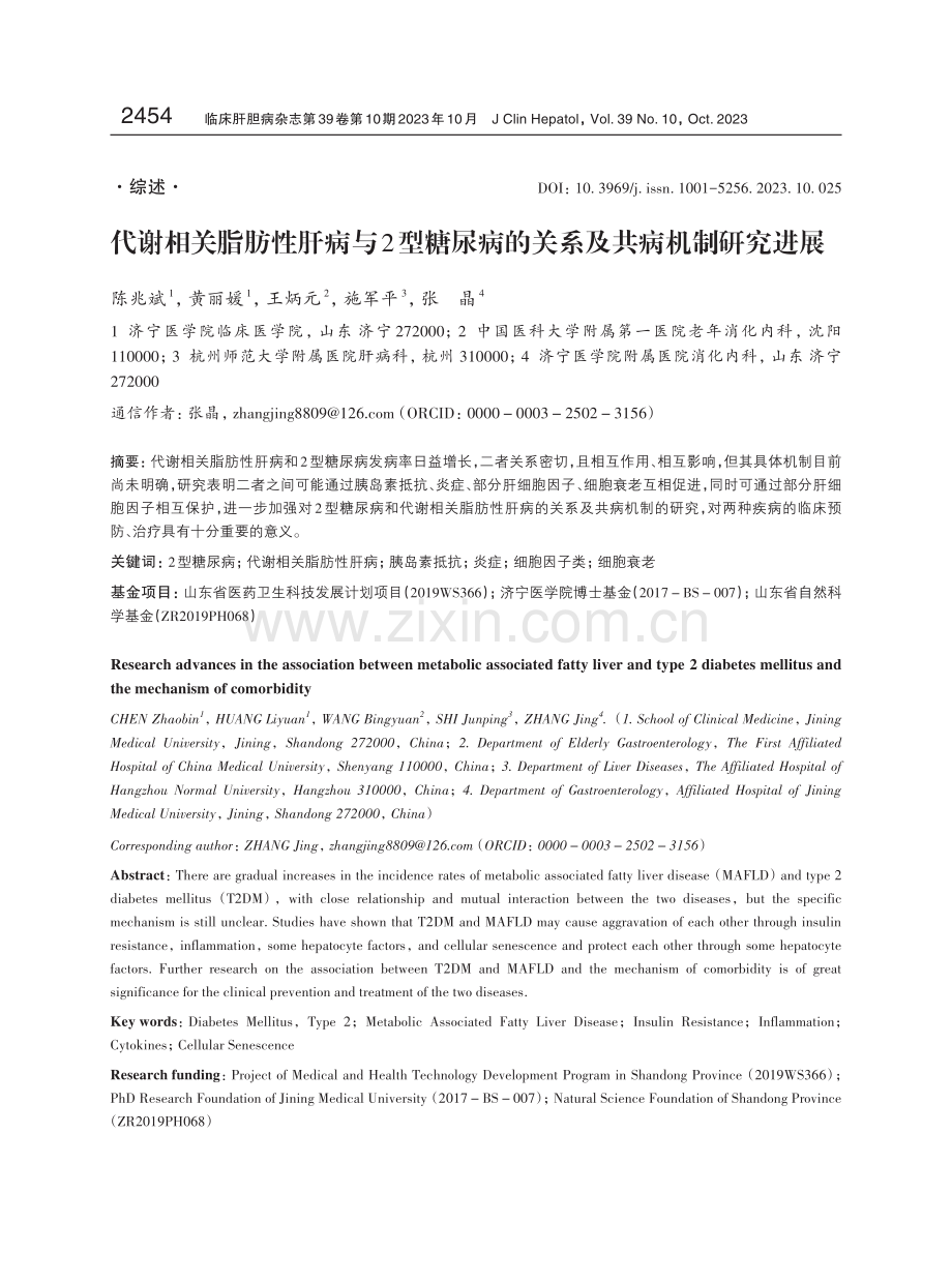 代谢相关脂肪性肝病与2型糖尿病的关系及共病机制研究进展.pdf_第1页