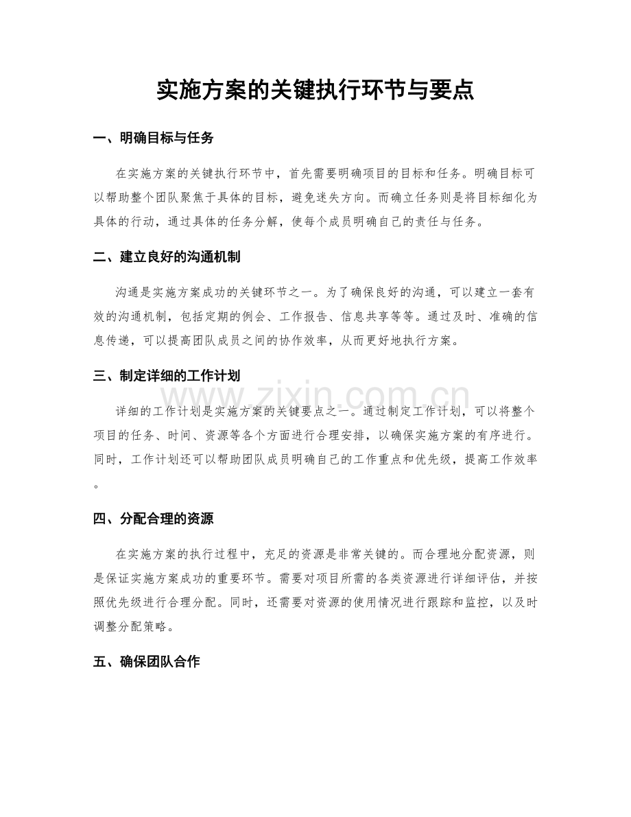 实施方案的关键执行环节与要点.docx_第1页