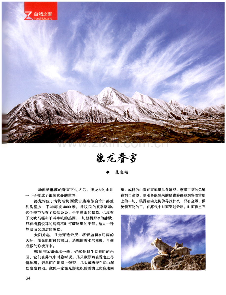 德龙春雪.pdf_第1页