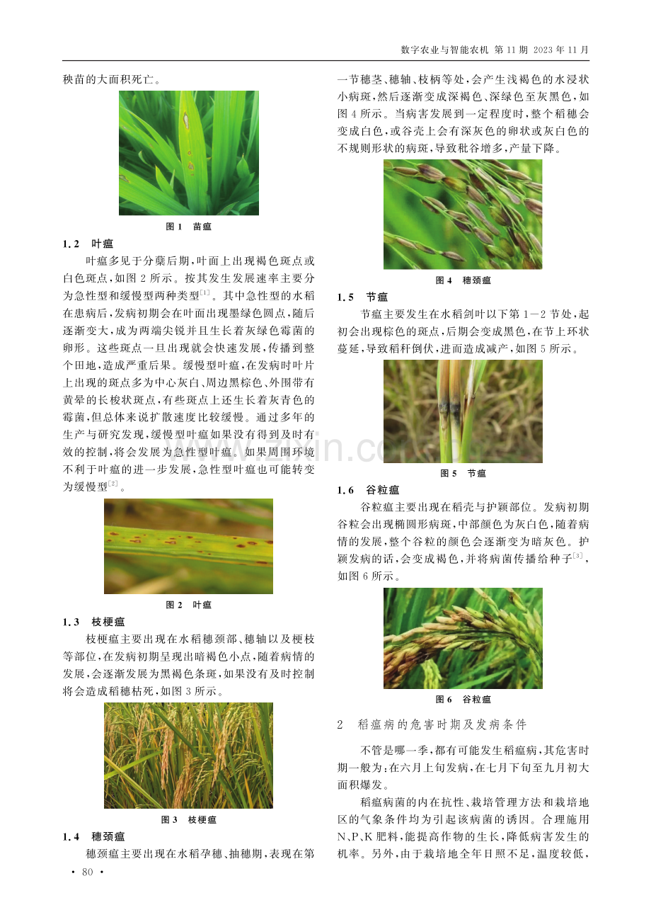 稻瘟病的发生特点及高效防控措施.pdf_第2页