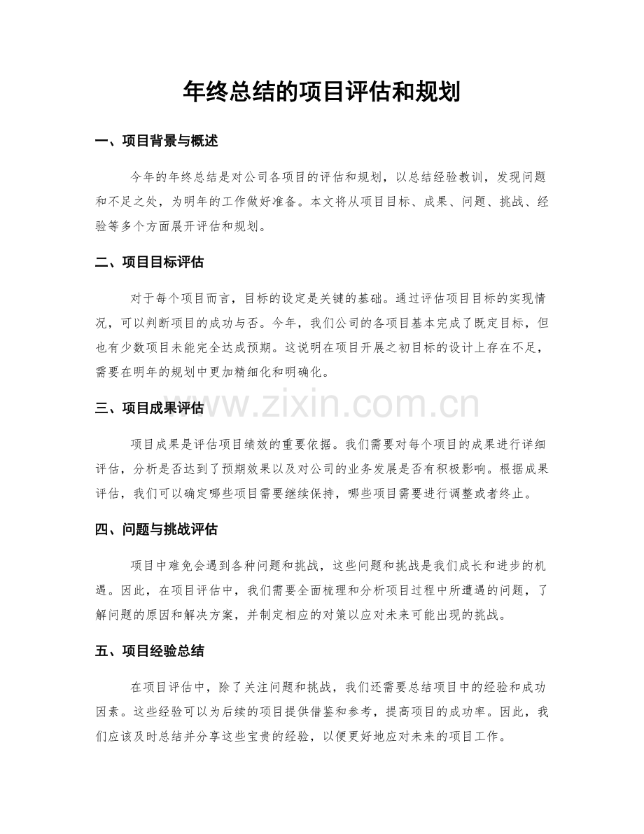 年终总结的项目评估和规划.docx_第1页