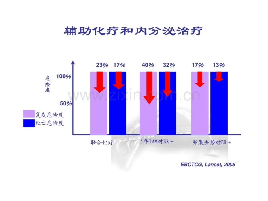 中国抗癌协会乳腺癌诊治指南与规范下.pptx_第3页