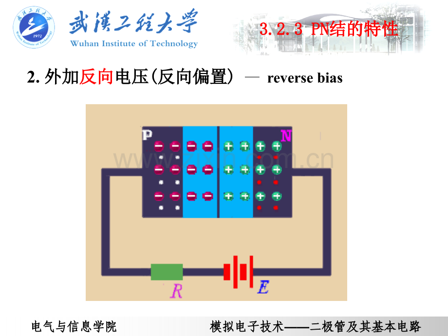 PN结特性和二极管.pptx_第3页