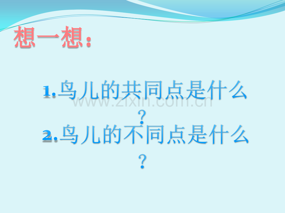 小学美术二年级下册我喜欢鸟000002.pptx_第2页