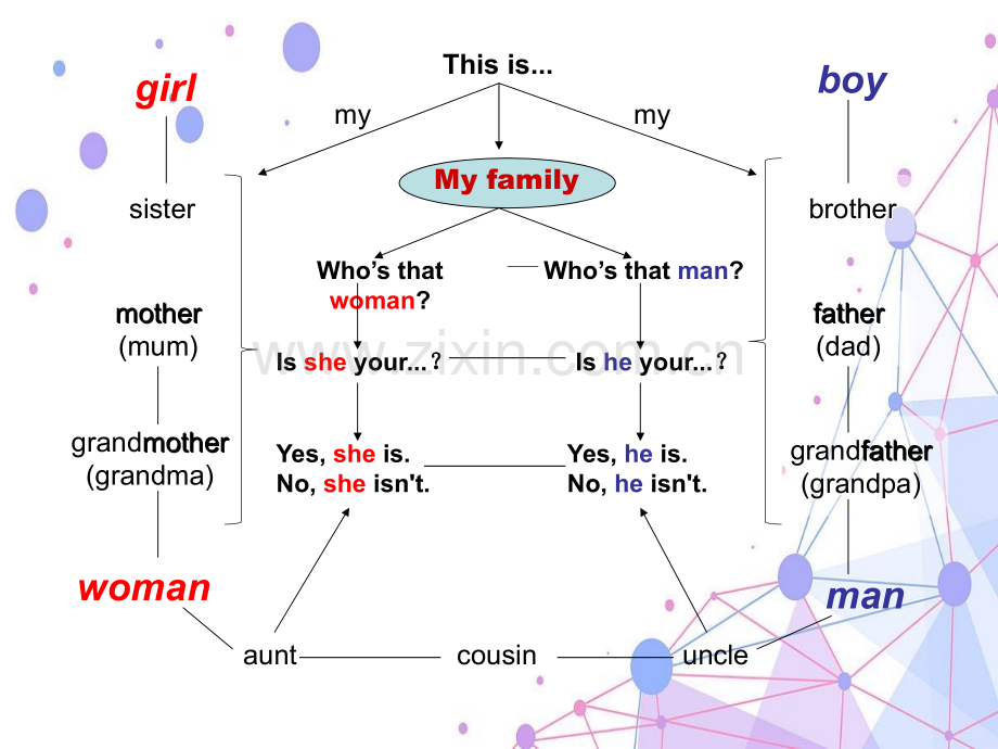 Myfamily思维导图.pptx_第3页