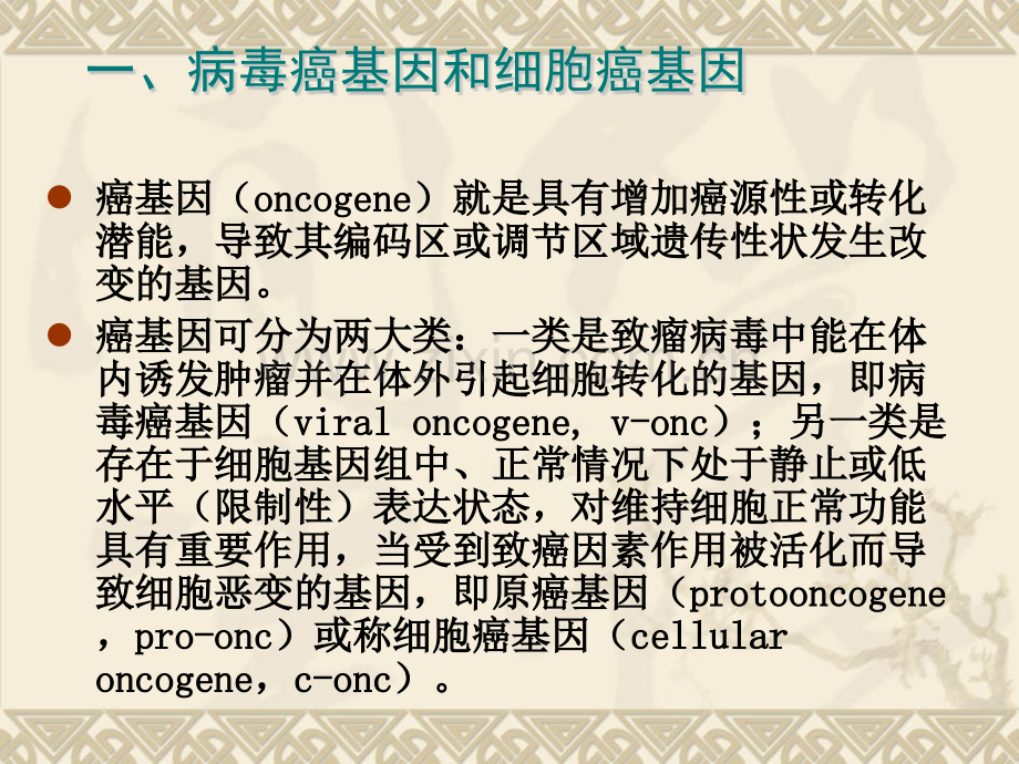 安徽医大课程生物化学癌基因抑癌基因与生长因子.pptx_第3页