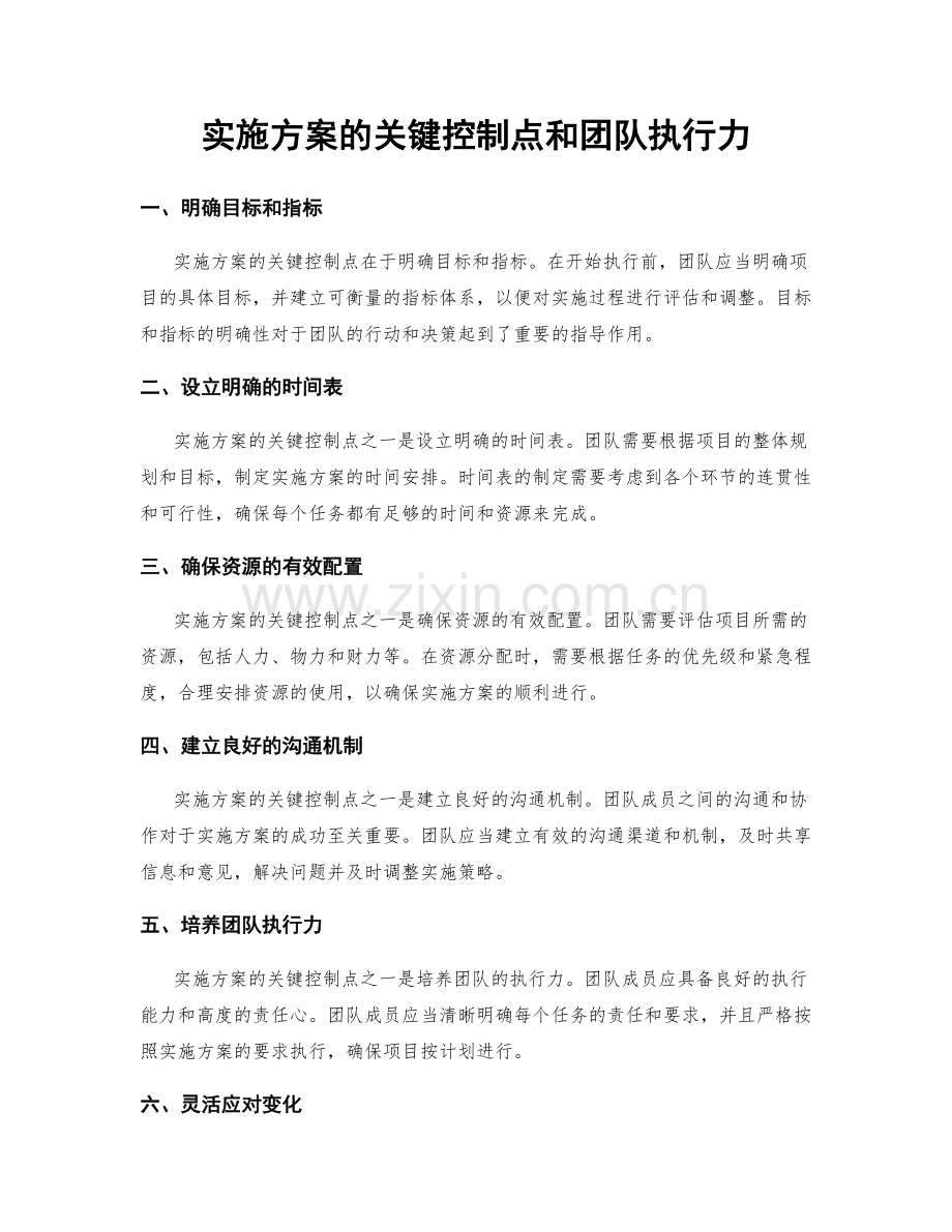 实施方案的关键控制点和团队执行力.docx_第1页