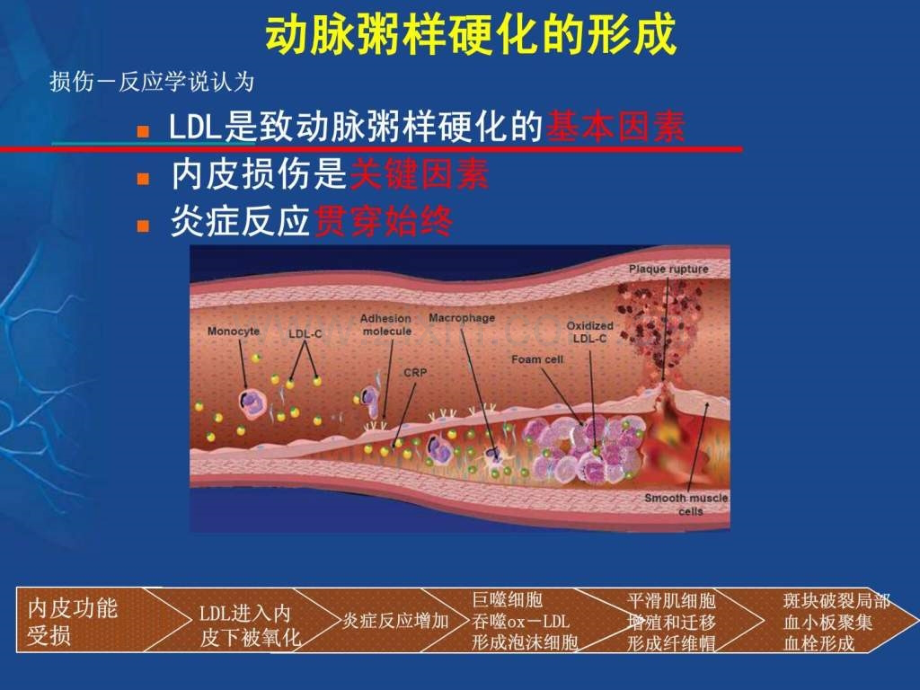 心血管剩余风险.pptx_第3页