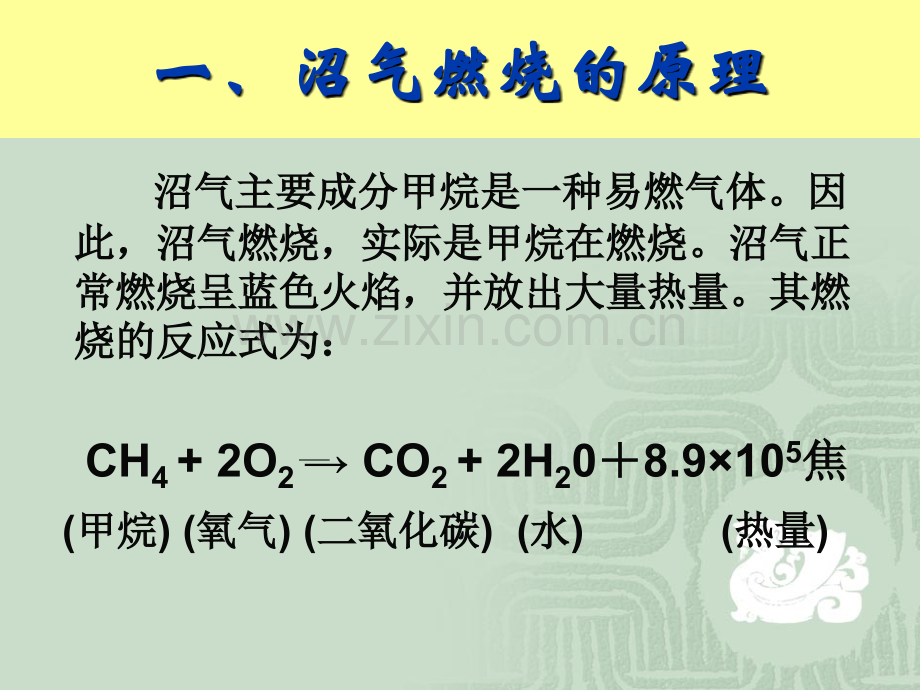 4沼气器材安装与使用解析.pptx_第2页