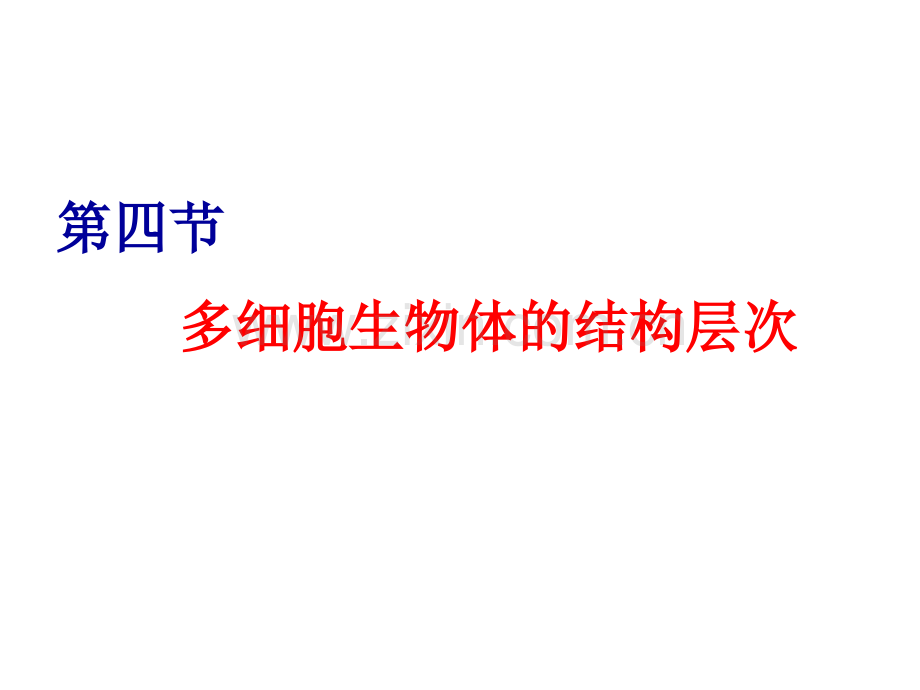 七年级生物多细胞生物体的结构层次1.pptx_第1页