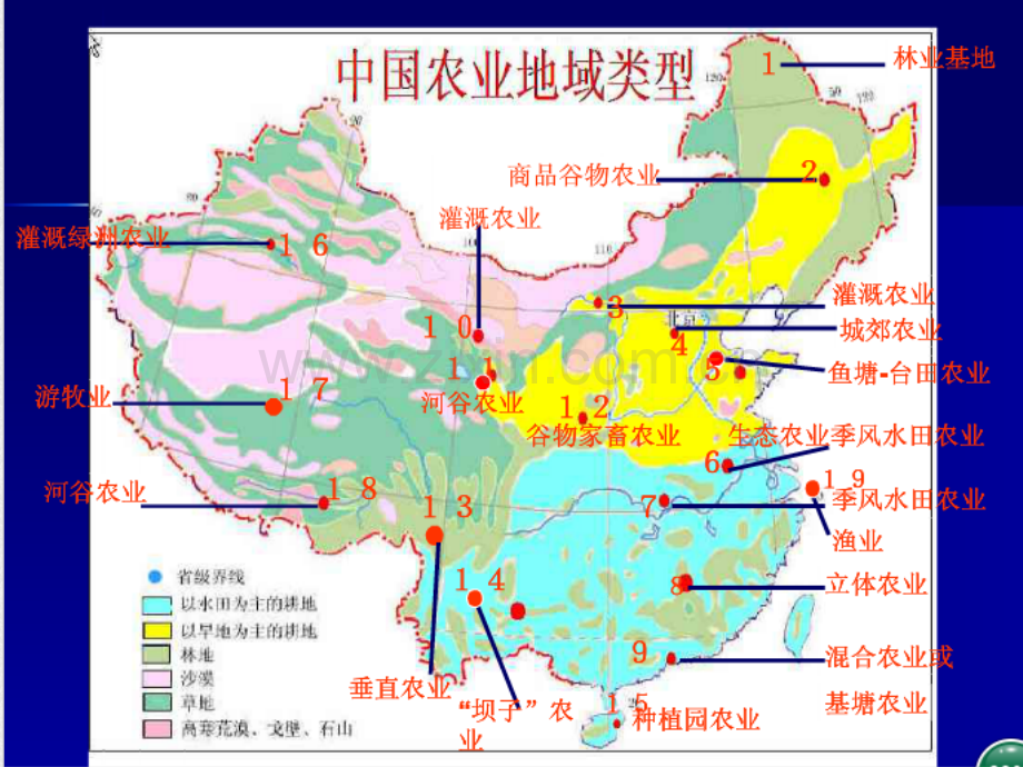 中国农业地域类型用.pptx_第3页