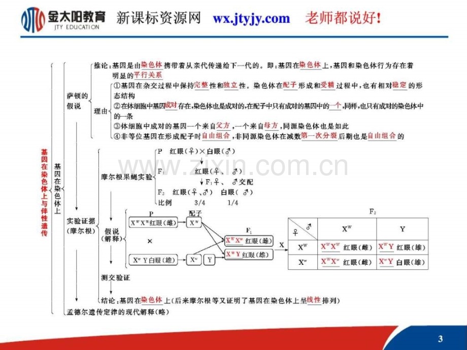 高考生物课标人教版一轮复习教学.pptx_第2页