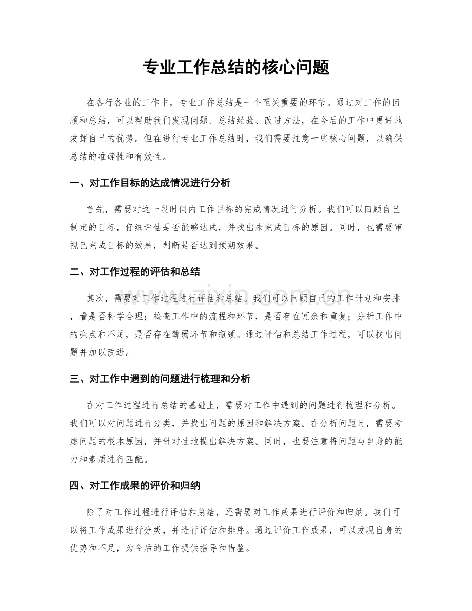 专业工作总结的核心问题.docx_第1页