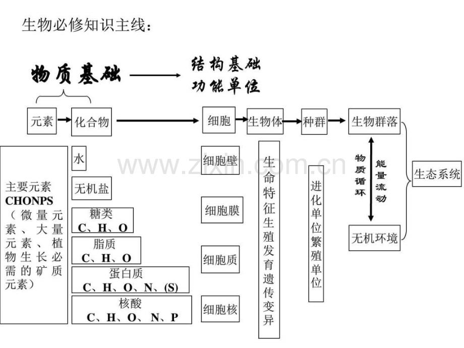 高中生物学业水平测试复习资料.pptx_第2页