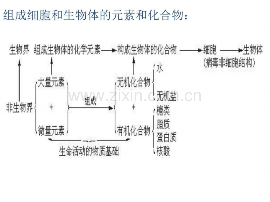 高中生物学业水平测试复习资料.pptx_第3页