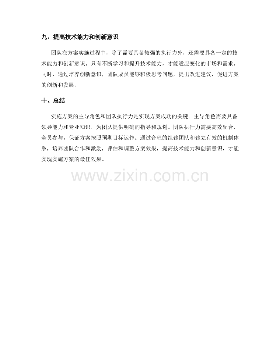 实施方案的主导角色与团队执行力的并重.docx_第3页