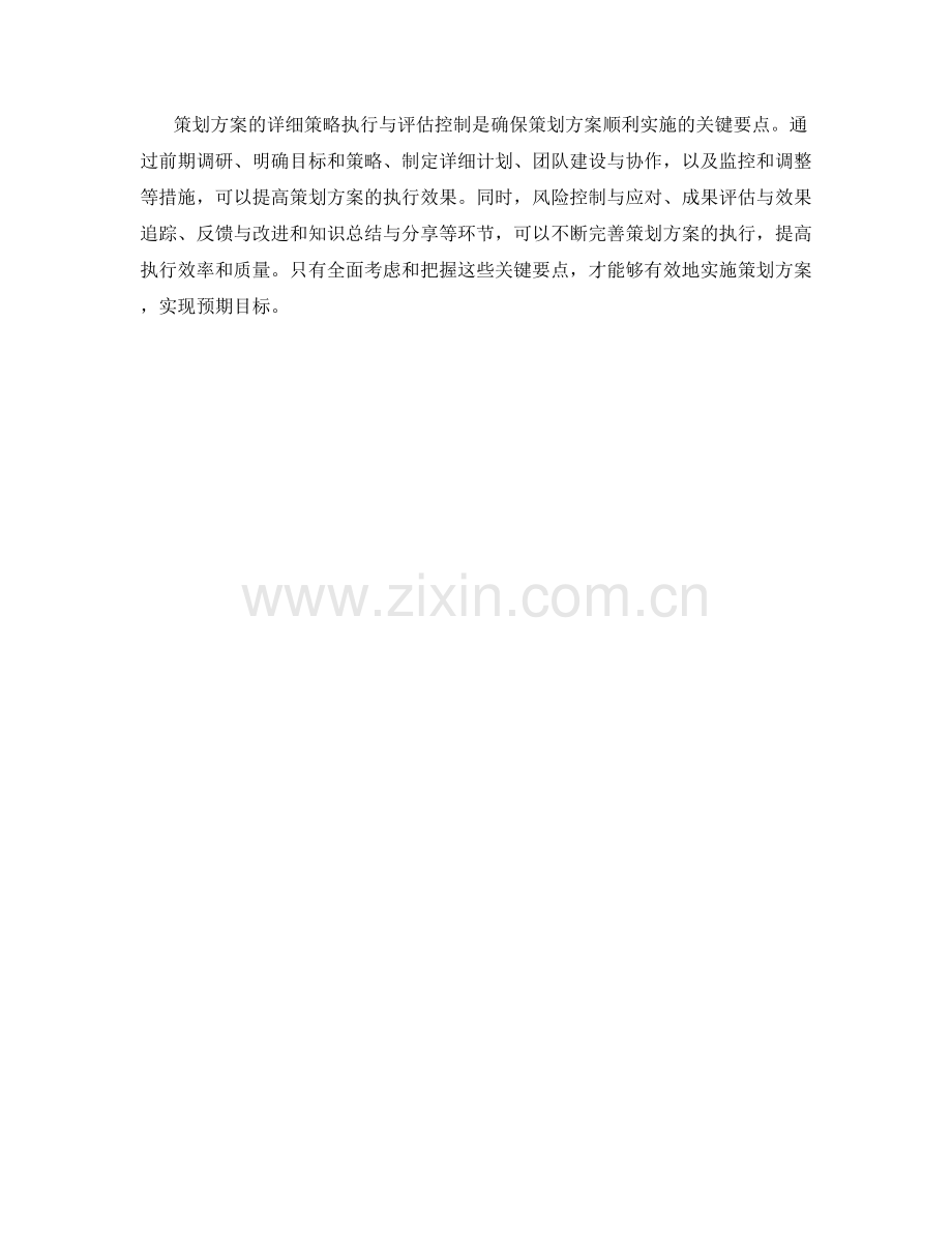 策划方案中的详细策略执行与评估控制的关键要点.docx_第3页