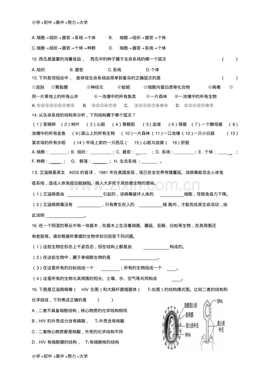 高中生物第一章人体的内环境与稳态第一节走进细胞第一节从生物圈到细胞课时测练新人.pdf_第2页