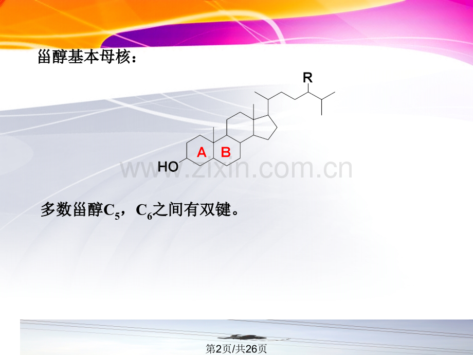 代表性甾体类.pptx_第2页