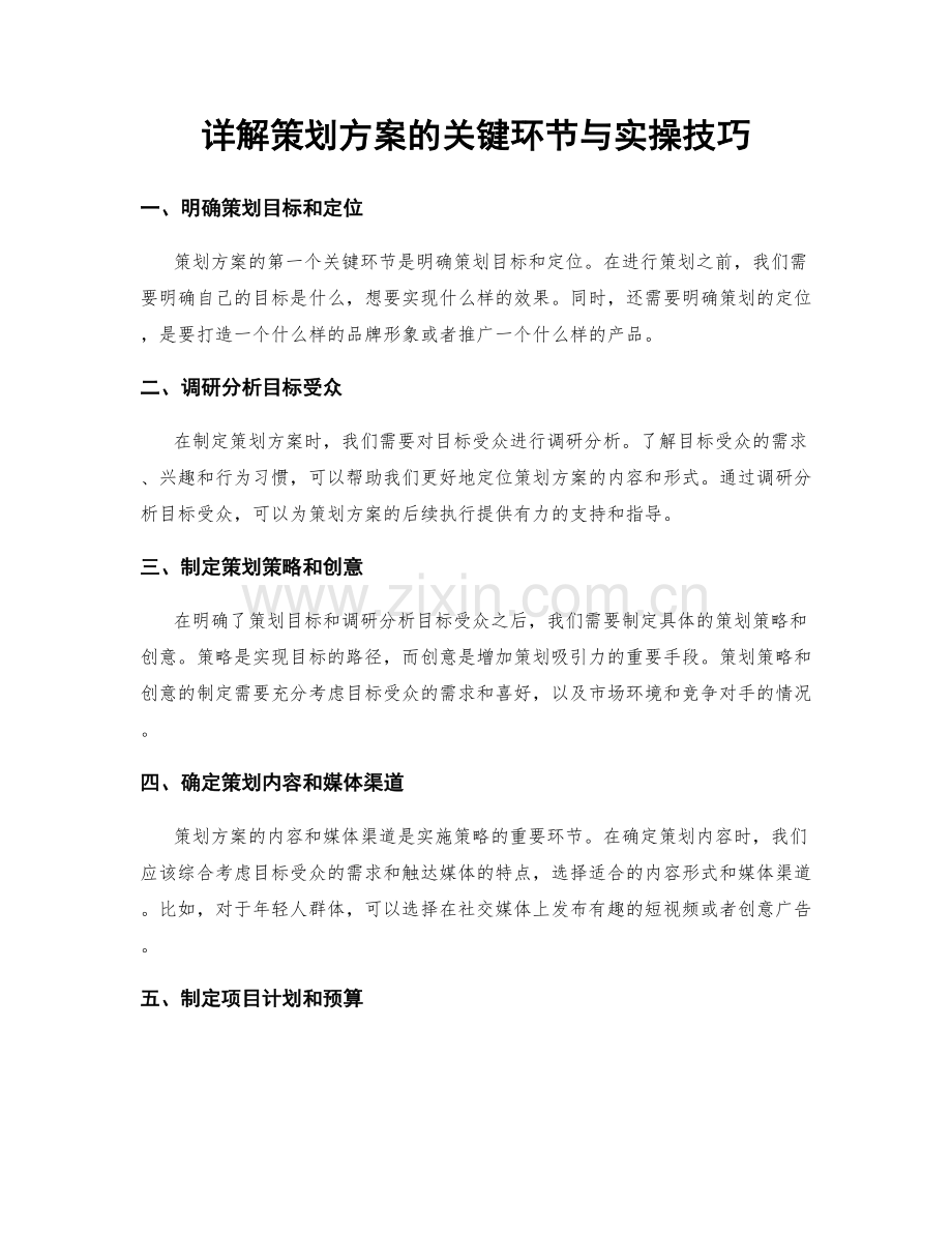 详解策划方案的关键环节与实操技巧.docx_第1页