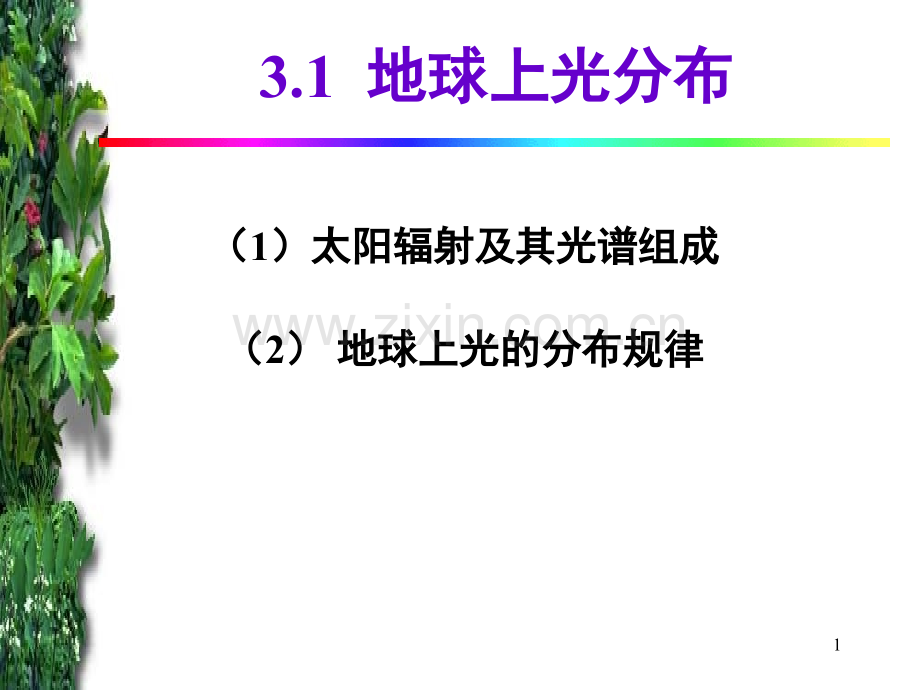 第三章生物与光的关系.pptx_第1页