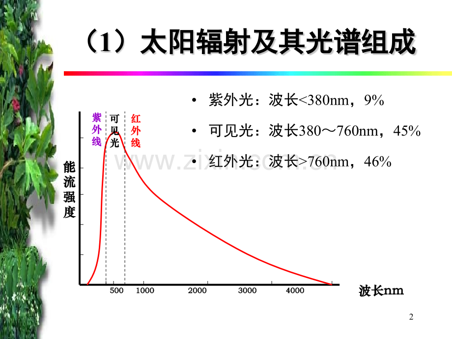 第三章生物与光的关系.pptx_第2页