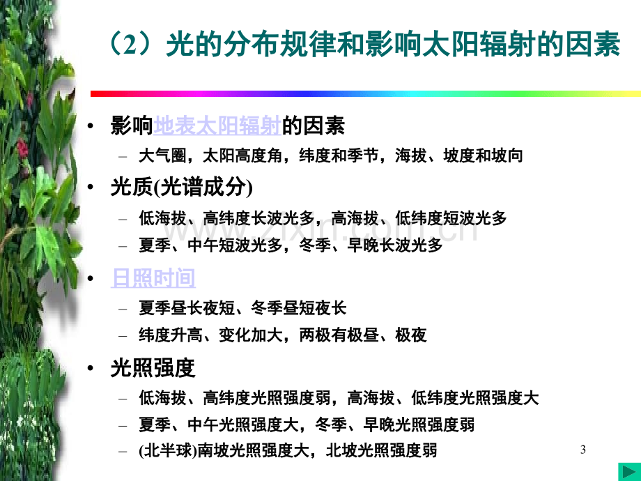 第三章生物与光的关系.pptx_第3页