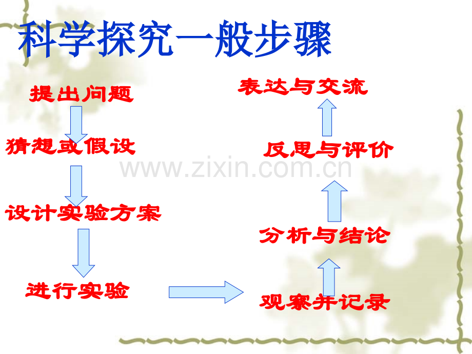 初三化学科学探究专题复习.pptx_第2页