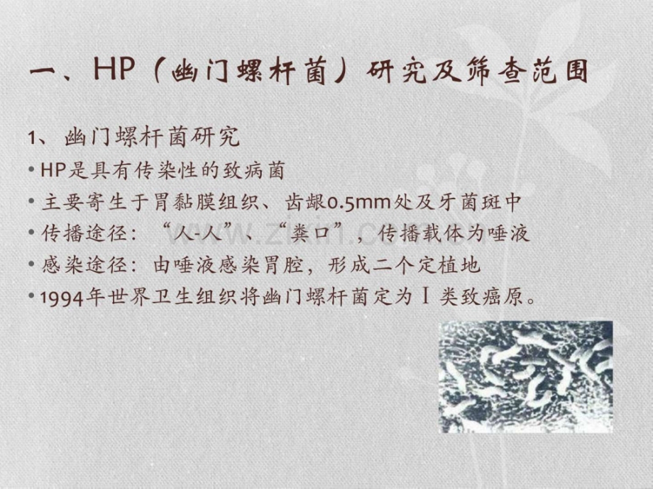 HP筛查及预防.pptx_第2页