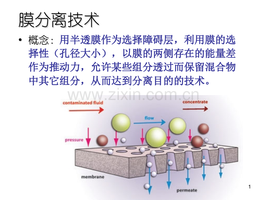 生物工程下游技术第六章膜分离过程.pptx_第1页