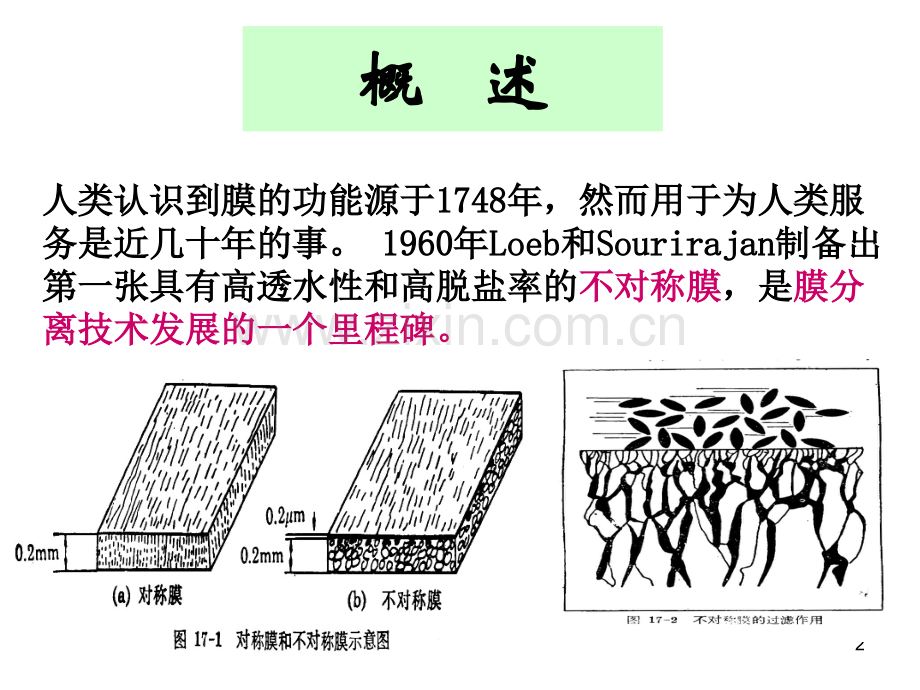 生物工程下游技术第六章膜分离过程.pptx_第2页