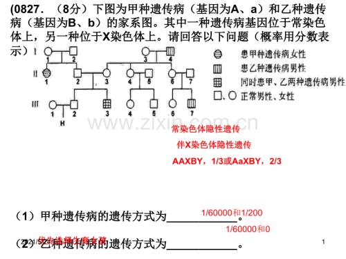 伴性遗传高考题.ppt