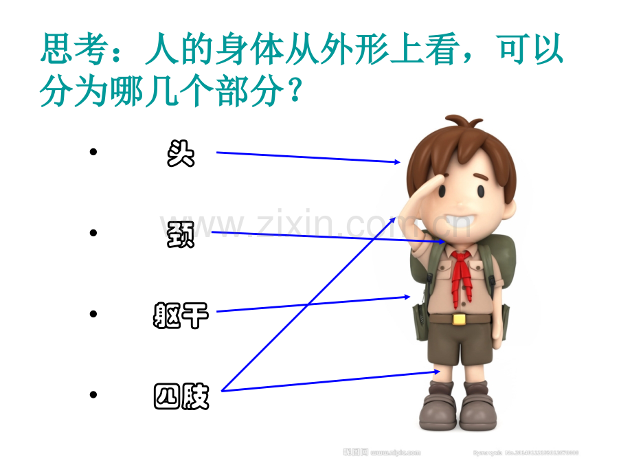 人体的组成科学.pptx_第2页