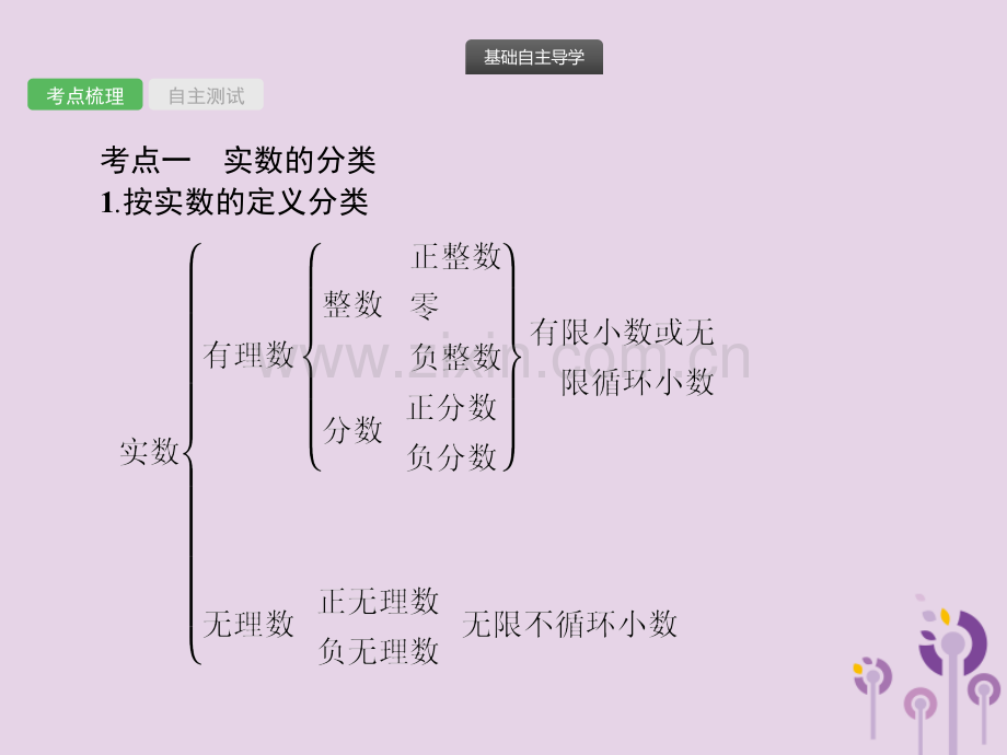 中考数学总复习实数全面.pptx_第2页