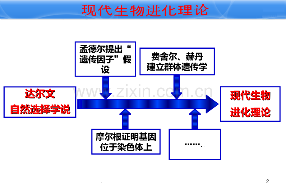 公开课种群基因频率的改变与生物进化.ppt_第3页