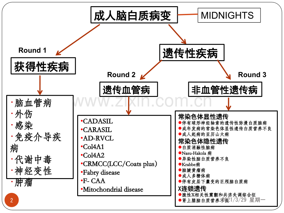 脑白质病的诊断.ppt_第2页