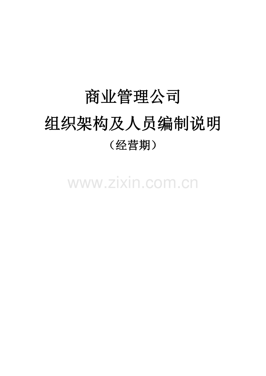 商业公司组织架构及各岗位说明.doc_第1页