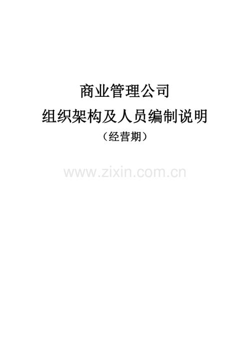 商业公司组织架构及各岗位说明.doc