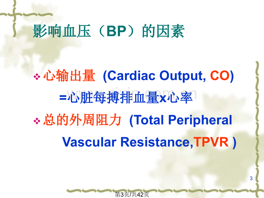 25-抗高血压药.pptx_第3页