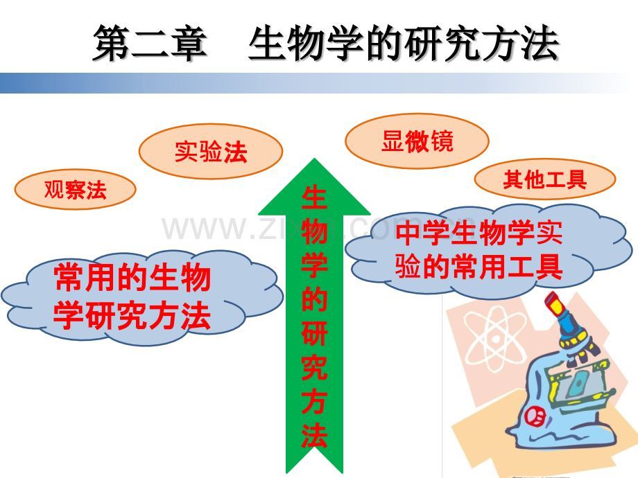 七年级上京改版21常用的生物学研究方法.pptx_第1页